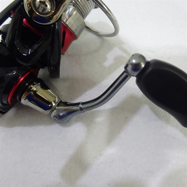 １６月下美人ＭＸ２００４